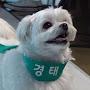 @수원빵셔틀