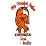 @TheGamingIndian