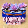 @이에르메스