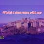 @elit3_799