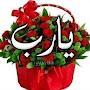 @كوكىهجرس