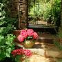 @abhachatterjee8296