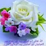 @zafarhussain5671