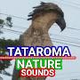 @tataromanaturesounds