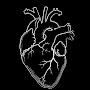 @MohabEssam-p5i