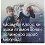 @vahdatsila9788