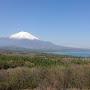@tfuji8566