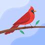 @teficalledlittlebird