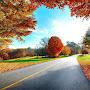 @devashish-18