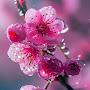 @ashokthakur7220