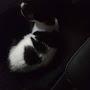@TheCatPilot