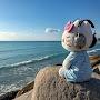 @dimple_21