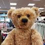@teddy1589