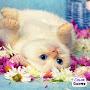 @Doshik-z8z