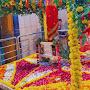 @roshnimishra2244