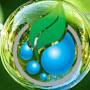 @ecocleaning8988