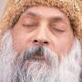 @madhavjimaldeparmar8074