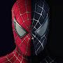 @spider-man825