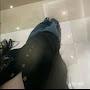 @whybhar