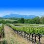 @vineyardfarmhouseco