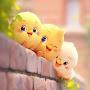 @amberhamidbutt1685