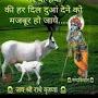@sulekhapatra1190