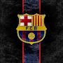 @fcbinsider8351
