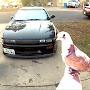 @pigeonsil240sx