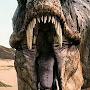@williamlindinosaurswilliam321