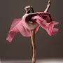 @tulpenballerina