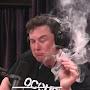 @ElonSmoking