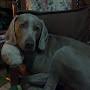 @lorenamarinacastilloleon6179
