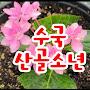 @수국산골소년