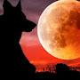 @redmoon08