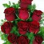 @sadafzeshan5583