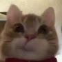 @hopeyouseeme