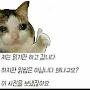 @에이쑤-frf