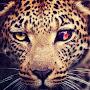 @gagen2141s
