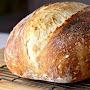 @sourdough6778