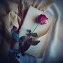 @muhammadnawaz1512