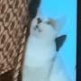 @nmdmrdm