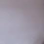 @goldenboy6826