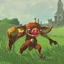 @Bokoblin-Botw