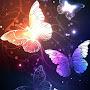 @LostButterfly52