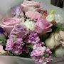 @Lily-f1m2b
