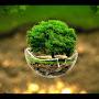 @المتفائله-د6د