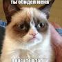 @АнгелинаПастухова-д5з