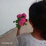 @AhmedFlifel-v9x
