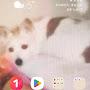@길고양이와함께