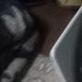@pleasesubscribe3354